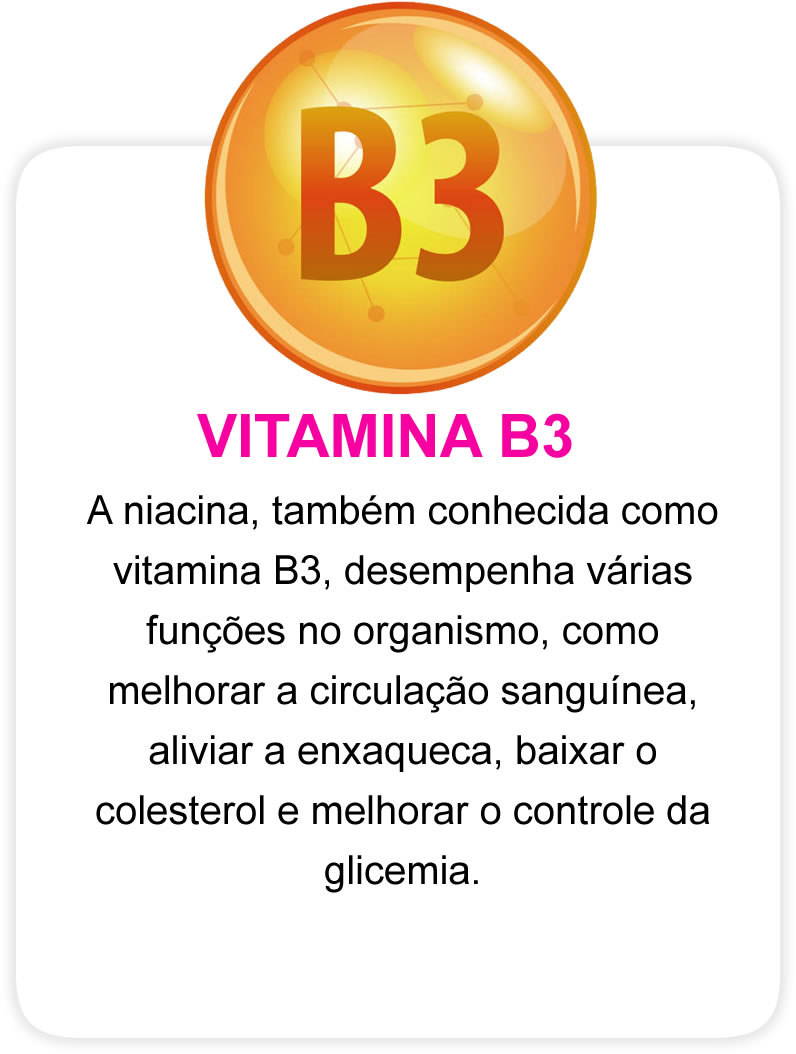 vitamina b3 para emagrecer