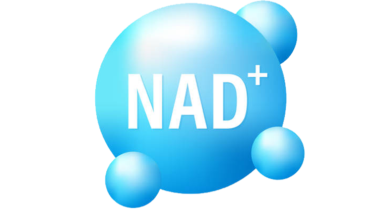 nad-nicotinamida-vitamina-b3.webp