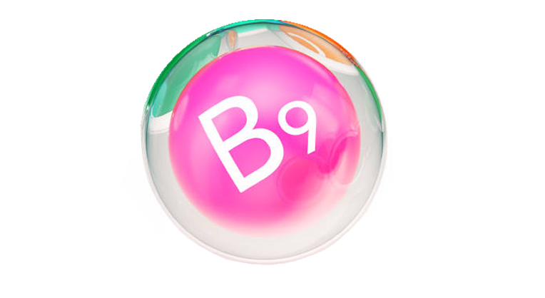 vitamina-b9-para-emagrecer-2.webp