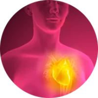 acelera-metabolismo.webp acelera-metabolismo.webp