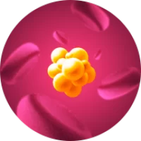 derreter-gordura-1.webp derreter-gordura-1.webp