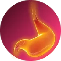 estomago-5-min_webp.webp estomago-5-min_webp.webp